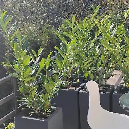 S&f Rum i privatbostad *