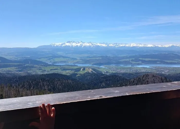 בית אירוח S&f *